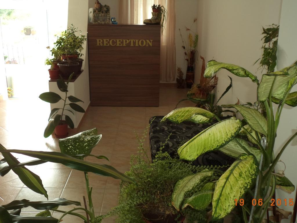 Sveti Georgi Guest House سوزوبول المظهر الخارجي الصورة