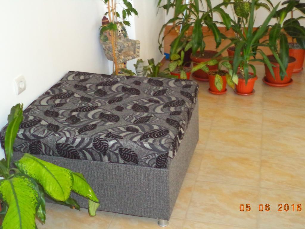 Sveti Georgi Guest House سوزوبول المظهر الخارجي الصورة