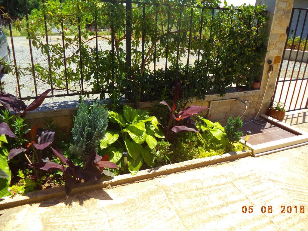 Sveti Georgi Guest House سوزوبول المظهر الخارجي الصورة
